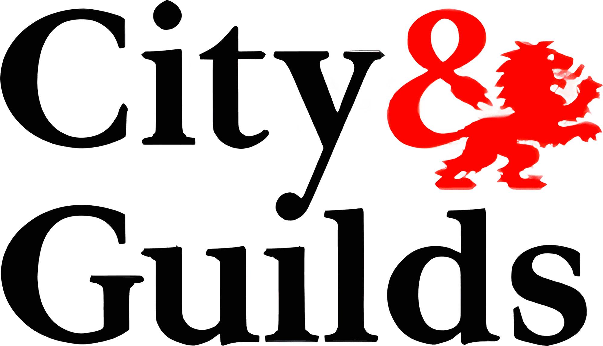 City & Guilds qualified electricians